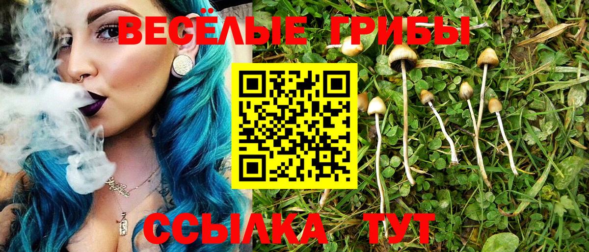 Псилоцибиновые грибы мицелий Советская Гавань